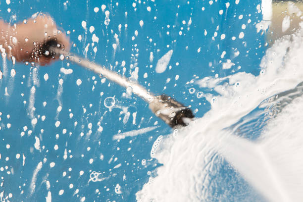 Animal Enclosure Cleaning in Indian Rocks Beach, FL